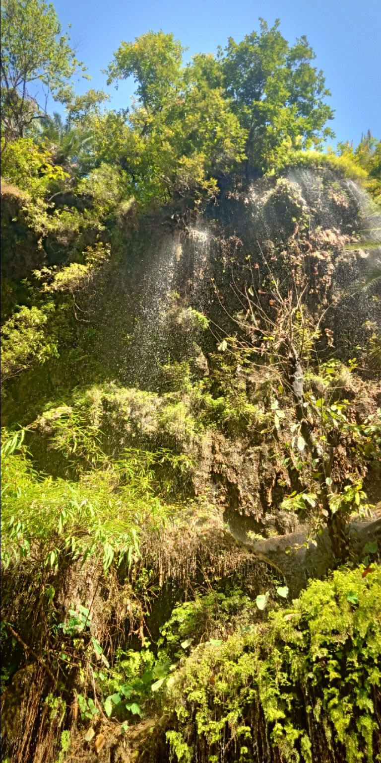 Photo of Trip of Rishikesh,Dehradun,Mussoorie by aashish dubey
