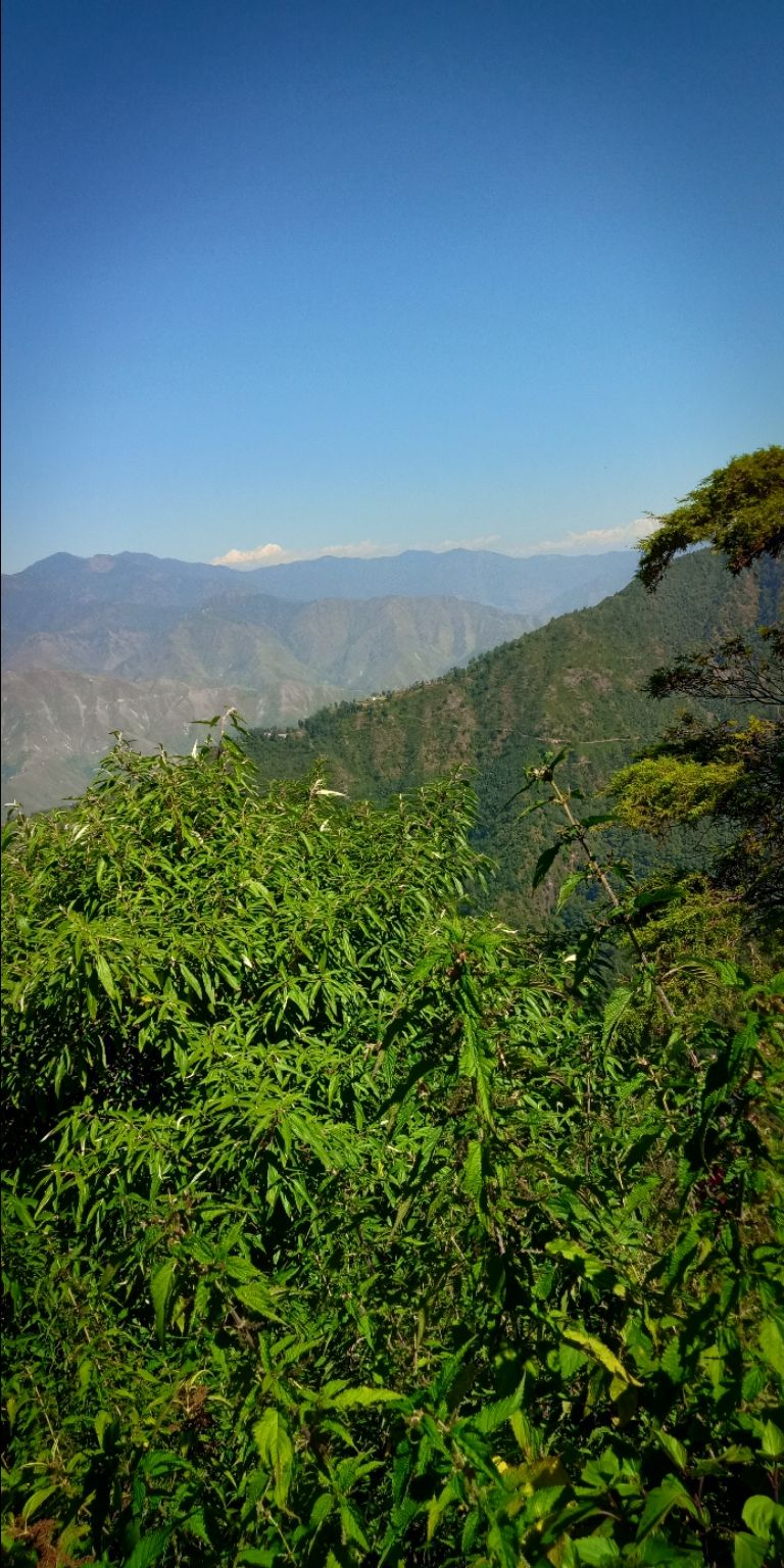 Photo of Trip of Rishikesh,Dehradun,Mussoorie by aashish dubey