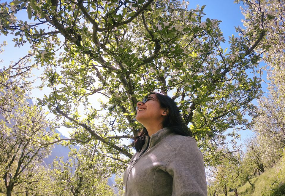 Photo of My luxury getaway to Manali 3/10 by Swati Kandhari