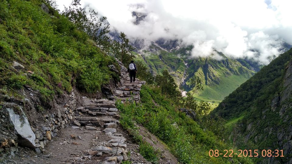 Photo of Valley of flowers, Hemkund sahib and Badrinath : More you explore, More it uncovers 2/16 by Sarthak Bansal