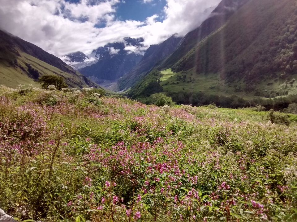 Photo of Valley of flowers, Hemkund sahib and Badrinath : More you explore, More it uncovers 10/16 by Sarthak Bansal