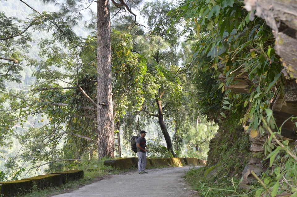 Photo of Gomukh, Tapovan - Surge of adventure at the edge of spirituality by Sarthak Bansal