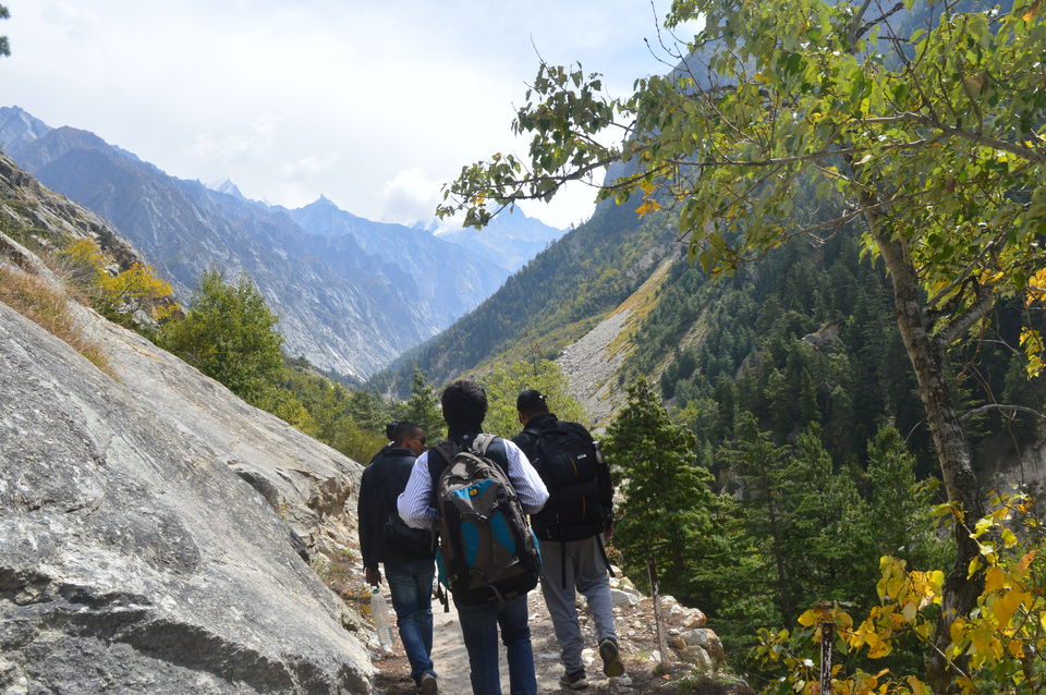 Photo of Gomukh, Tapovan - Surge of adventure at the edge of spirituality by Sarthak Bansal