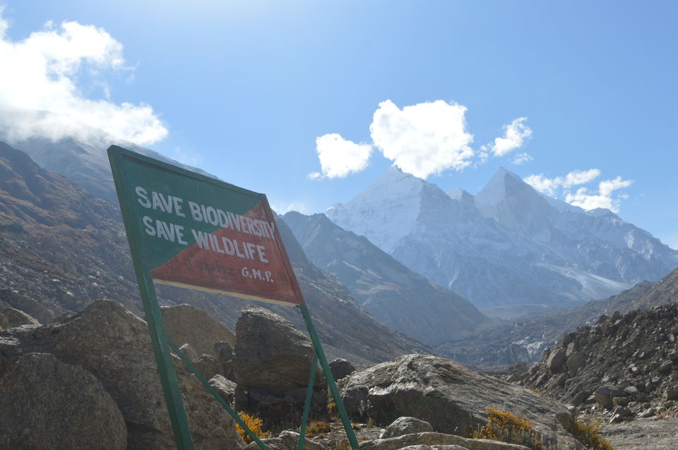 Photo of Gomukh, Tapovan - Surge of adventure at the edge of spirituality by Sarthak Bansal