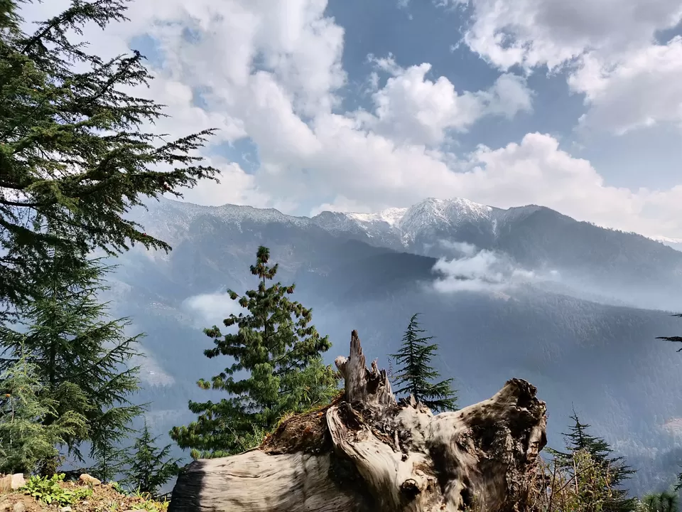 Photo of Jibhi, Himachal Pradesh, India by Vandana Thacker