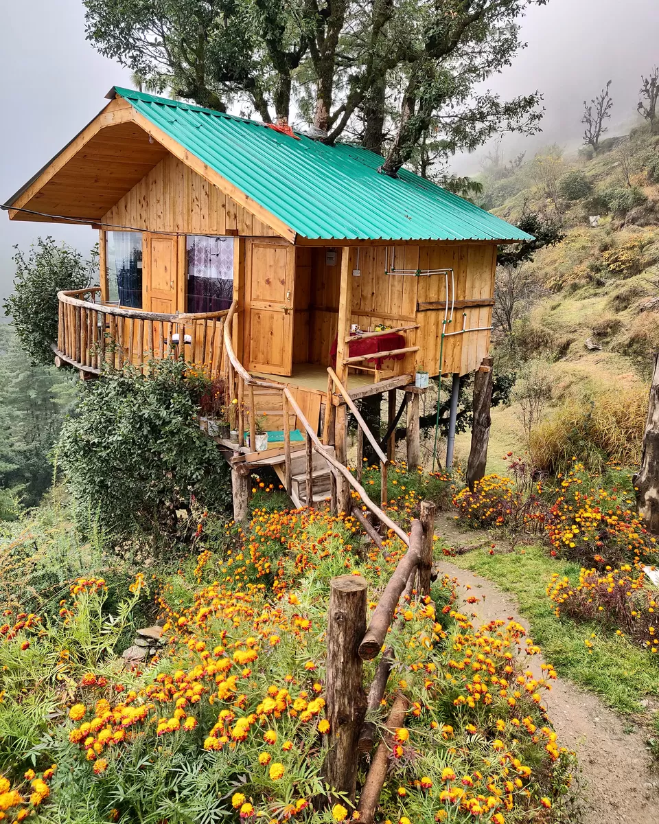 Photo of Jibhi, Himachal Pradesh, India by Vandana Thacker