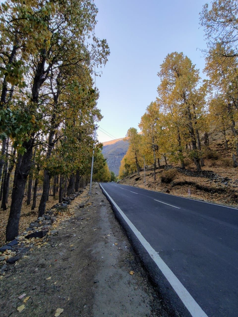 Photo of निकला था घर से 5 दिन के लिए, बीत गए 50 दिन । by Sumair Chaudhary
