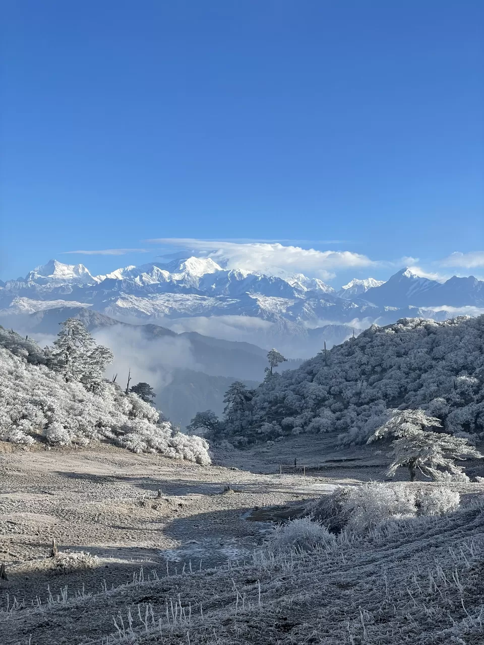 Photo of Sandakphu Phalut Trek with Indiahikes Travelogue and Itinerary by amen yazin