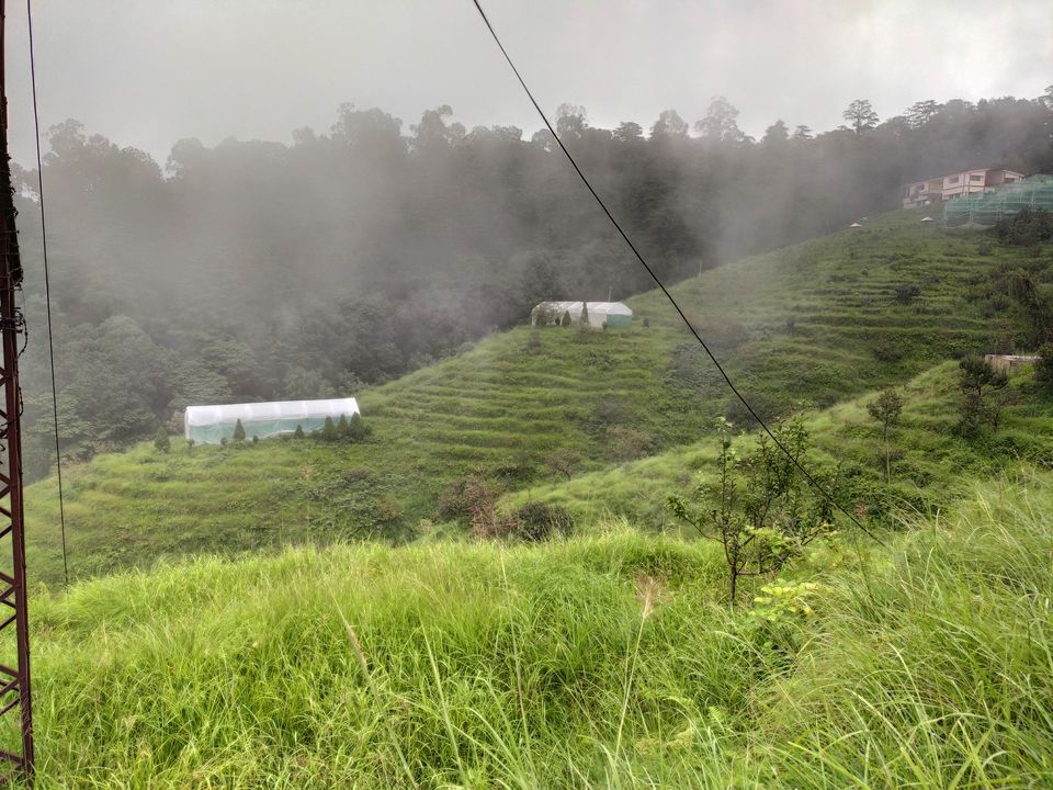 Photo of Chaubatia Garden, Chaubatia, Uttarakhand, India by Parvez khan