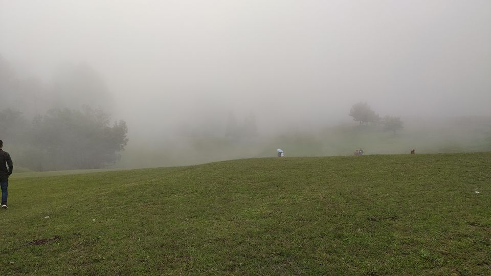 Photo of Ranikhet 'queen of meadows'. by Parvez khan