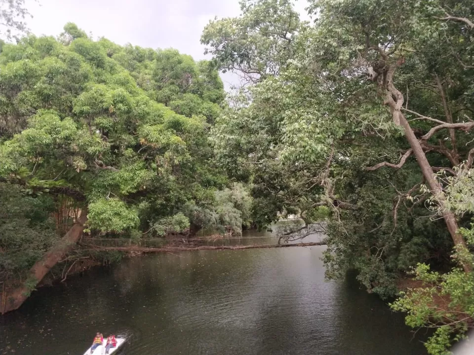 Photo of Nisargadhama, Karnataka by Shristi Moda