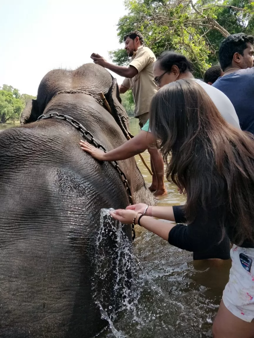 Photo of Dubare Elephant Camp, Nanjarayapatna, Karnataka, India by Shristi Moda
