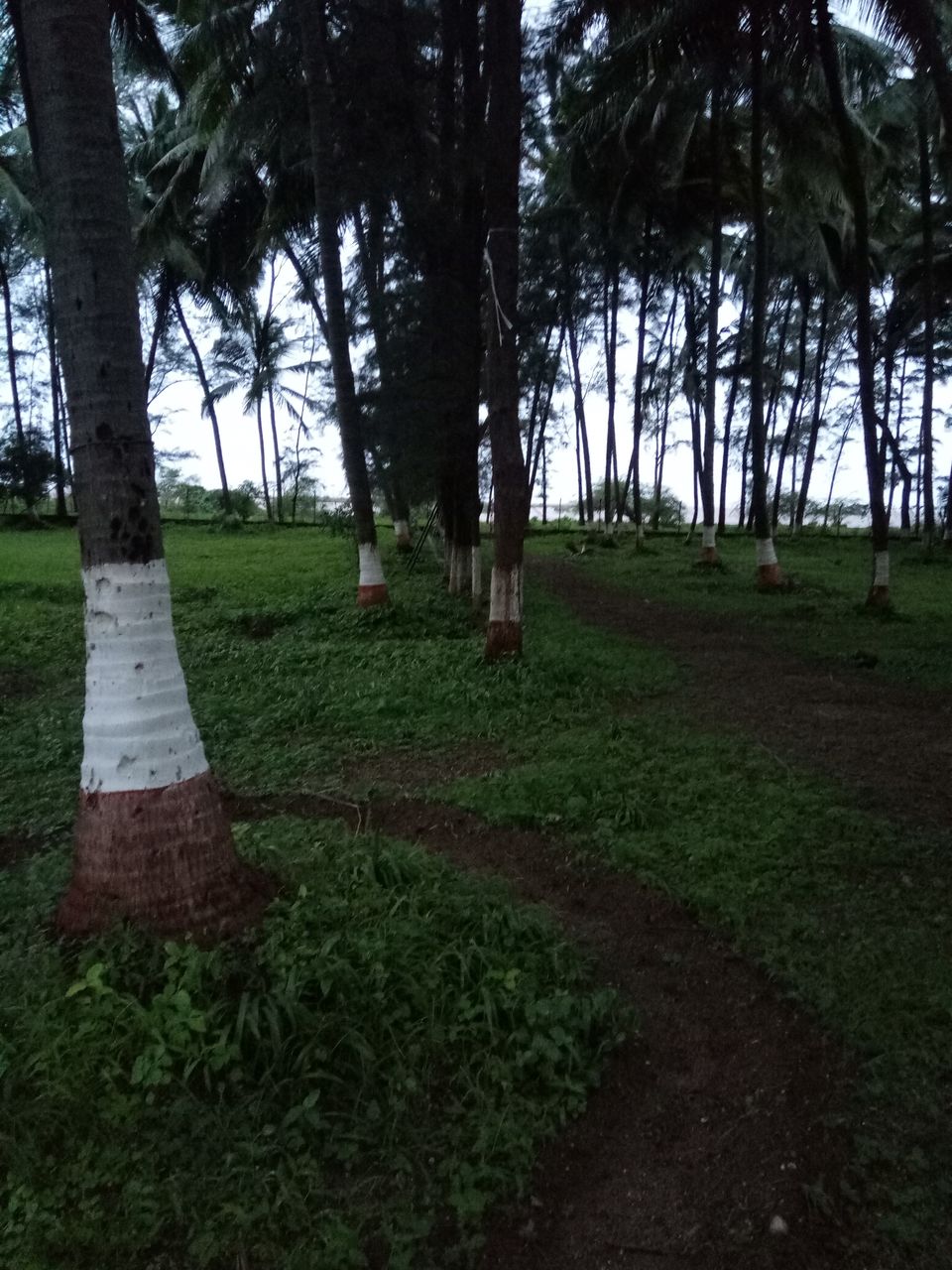 Photo of Bordi - A Weekend Gateway From Surat by Hemant Agarwal