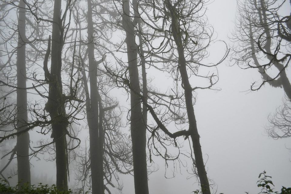 Photo of Hello to Darjeeling & Gangtok !!! by Ratul Sonowal