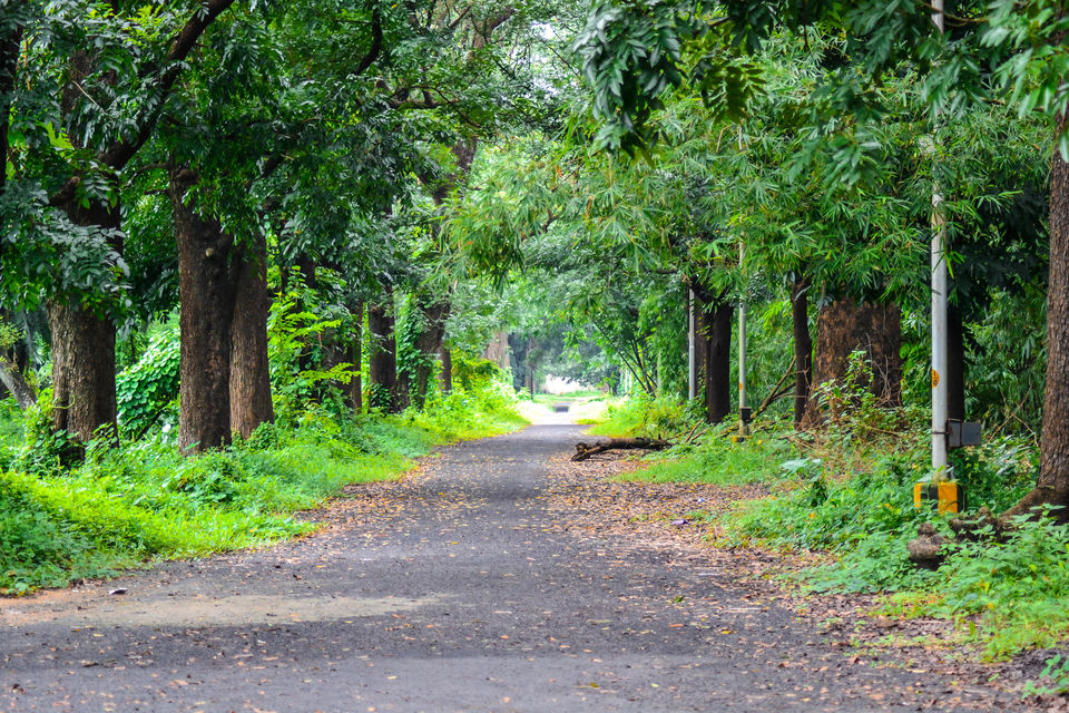 Photo of Kolkata – The other side of Hoogly 4/10 by Ratul Sonowal