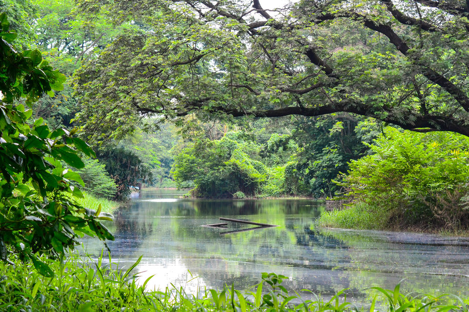 Photo of Kolkata – The other side of Hoogly 6/10 by Ratul Sonowal