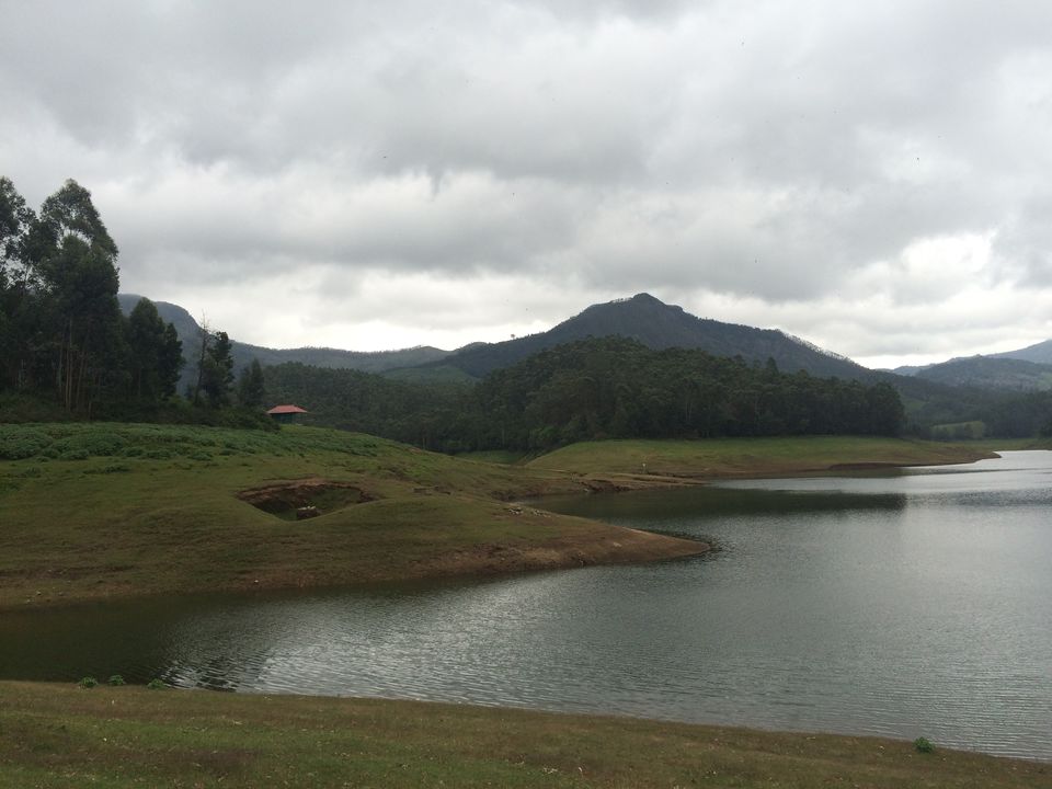 Photo of Munnar, Kerala, India by Ratul Sonowal