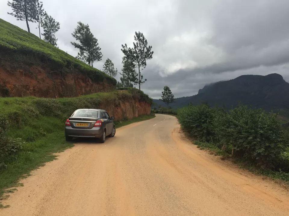 Photo of Munnar Tea Garden, Kochi-Dhanushkodi Road, Devikulam, Kerala, India by Ratul Sonowal