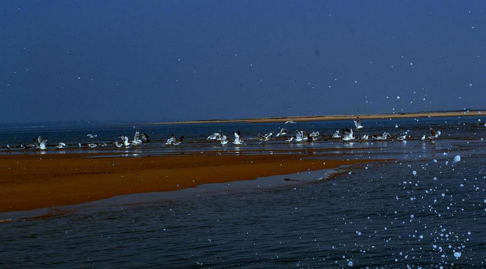 Photo of Glimpse of salt Lagoon - Chilika Lake (Asia's biggest salt water lake) 2/12 by Ratul Sonowal