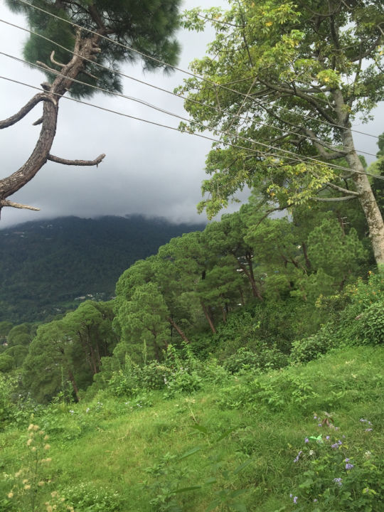 Photo of Long Weekend Get Away From Delhi To The Magical Dharamshala, Macleod Ganj And Triund Under 6 K by Ajeet Singh