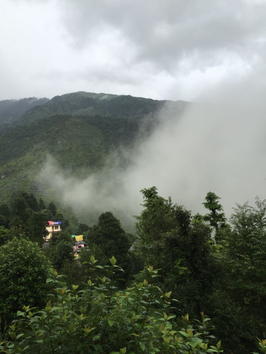 Photo of Long Weekend Get Away From Delhi To The Magical Dharamshala, Macleod Ganj And Triund Under 6 K by Ajeet Singh