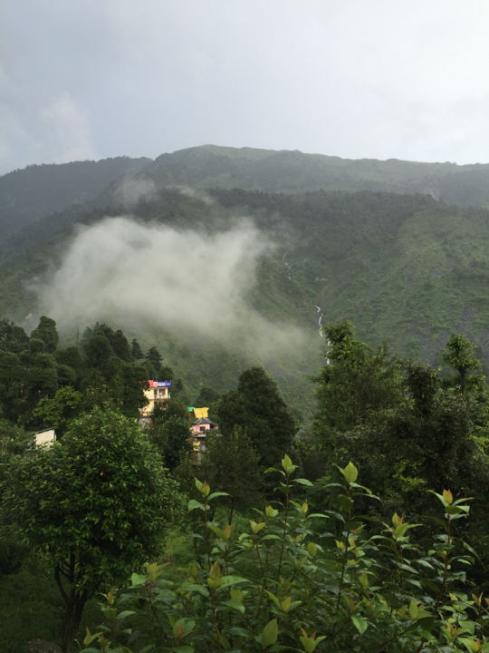 Photo of Long Weekend Get Away From Delhi To The Magical Dharamshala, Macleod Ganj And Triund Under 6 K by Ajeet Singh