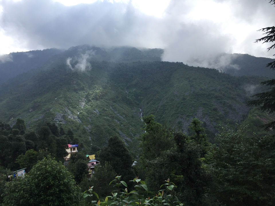 Photo of Long Weekend Get Away From Delhi To The Magical Dharamshala, Macleod Ganj And Triund Under 6 K by Ajeet Singh