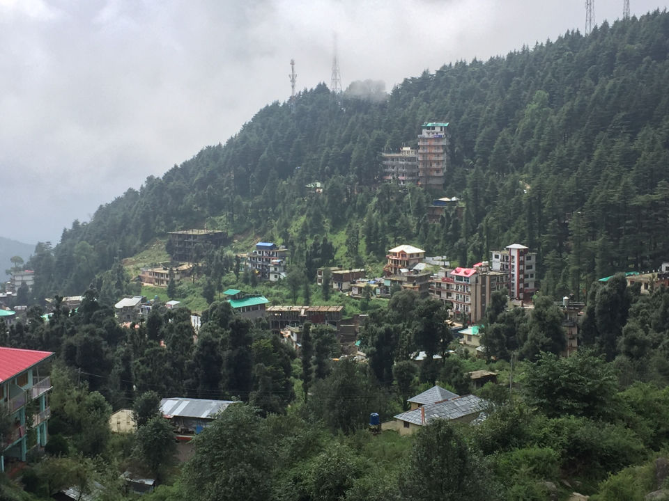 Photo of Long Weekend Get Away From Delhi To The Magical Dharamshala, Macleod Ganj And Triund Under 6 K by Ajeet Singh