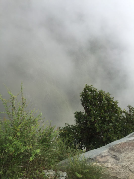 Photo of Long Weekend Get Away From Delhi To The Magical Dharamshala, Macleod Ganj And Triund Under 6 K by Ajeet Singh
