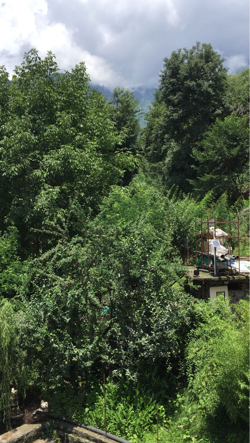 Photo of Beautiful, Peaceful & Magical MANALI by Ajeet Singh