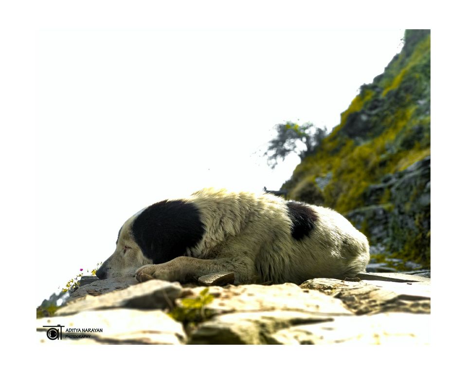 Photo of Memories of McLeodganj by Aditya Narayan