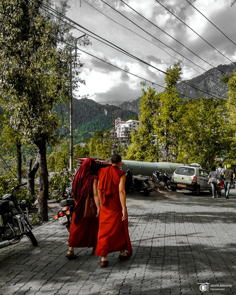 Photo of Camp Bhagsu, Bhagsunag Road, Bhagsu Nag, McLeod Ganj, Dharamshala, Himachal Pradesh, India by Aditya Narayan
