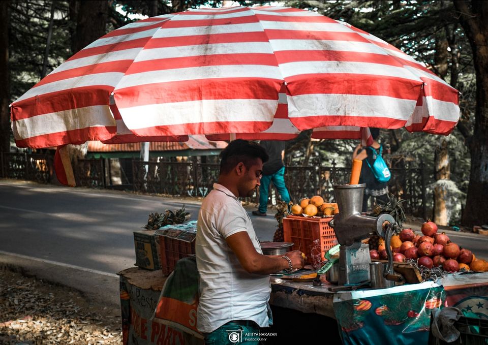 Photo of Camp Bhagsu, Bhagsunag Road, Bhagsu Nag, McLeod Ganj, Dharamshala, Himachal Pradesh, India by Aditya Narayan