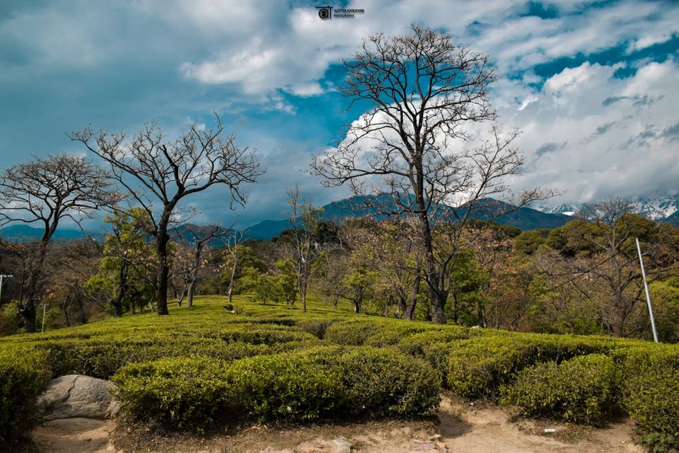 Photo of Memories of McLeodganj by Aditya Narayan