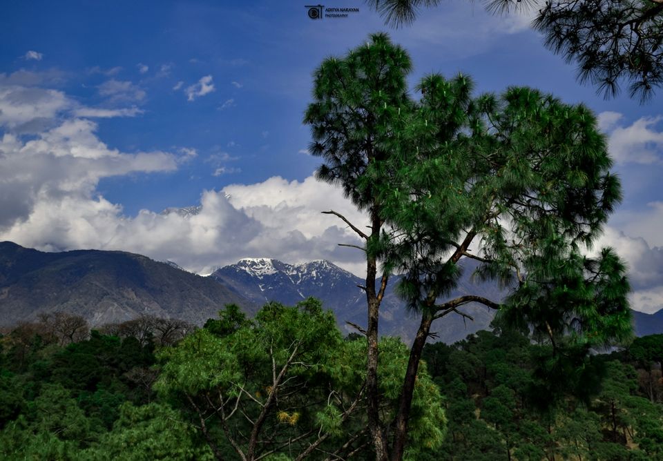 Photo of Memories of McLeodganj by Aditya Narayan