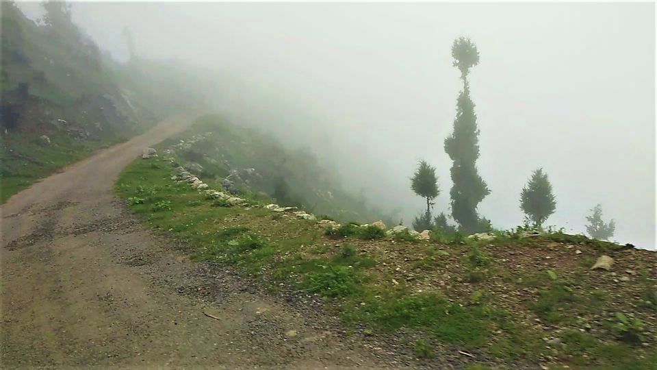 Photo of Chakrata- "...Safar khoobsurat hai manzil se bhi..." by Akhil Tiwari