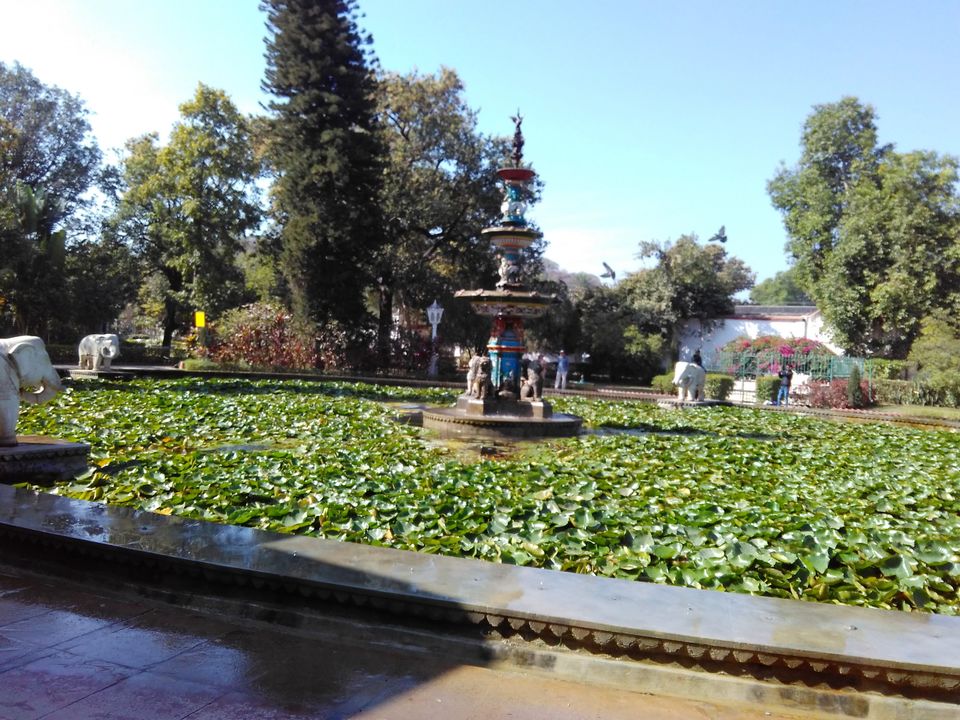 Photo of Royal Rajasthan: Udaipur and Jaipur a quick getaway from Delhi (Part 1) 8/8 by Sandeep Mishra