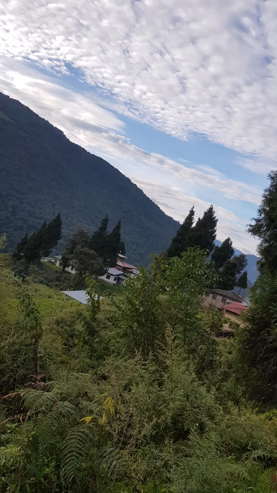 Photo of Bhutan - A no ordinary place! by Pallavi Pipalwa