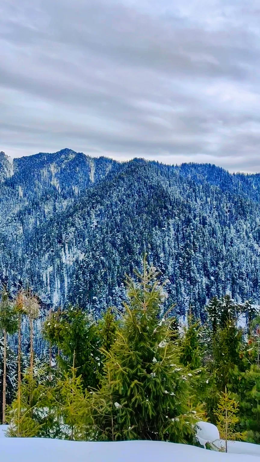 Photo of Tirthan Valley By Photophile_life