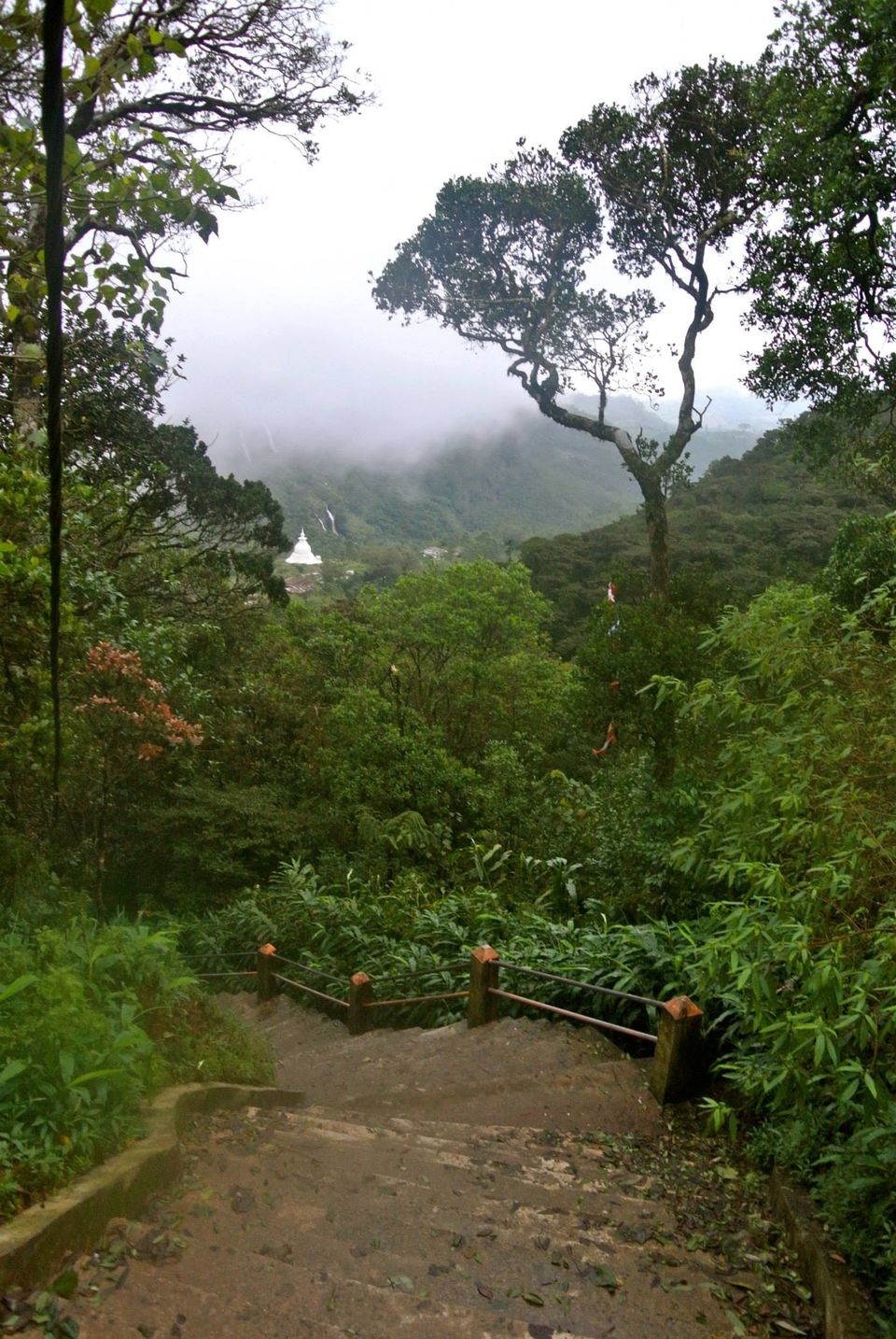 Photo of One month in Sri Lanka with a backpack 9/24 by Léo Cerone