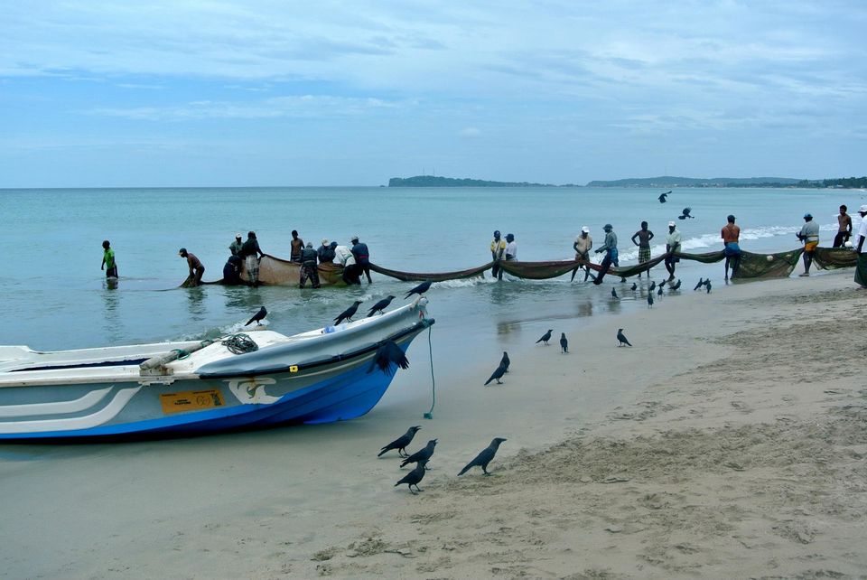 Photo of One month in Sri Lanka with a backpack 7/24 by Léo Cerone