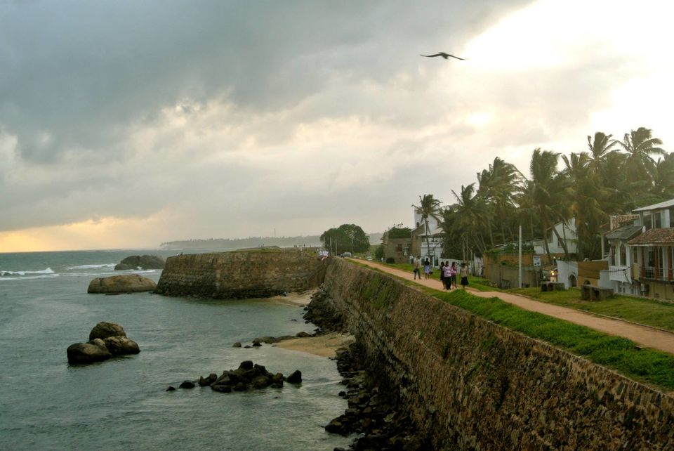 Photo of One month in Sri Lanka with a backpack 18/24 by Léo Cerone