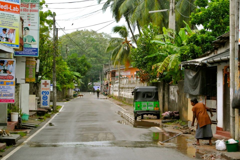 Photo of One month in Sri Lanka with a backpack 19/24 by Léo Cerone