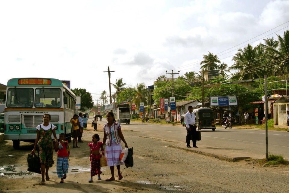 Photo of One month in Sri Lanka with a backpack 21/24 by Léo Cerone