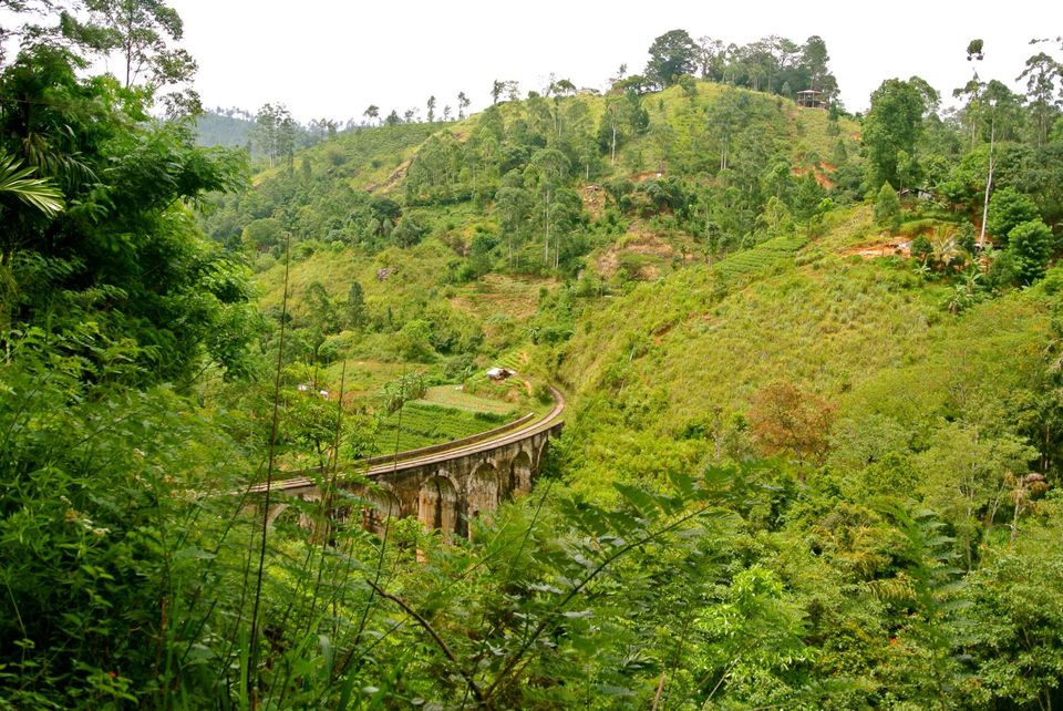 Photo of One month in Sri Lanka with a backpack 14/24 by Léo Cerone