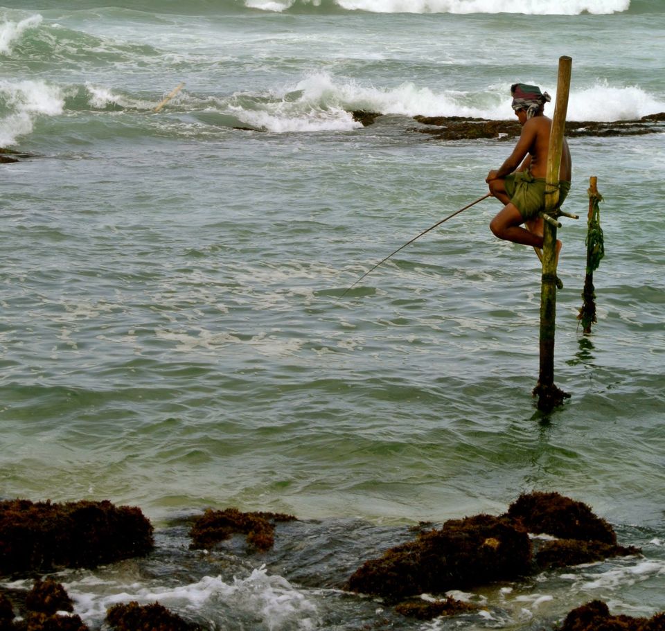 Photo of One month in Sri Lanka with a backpack 22/24 by Léo Cerone