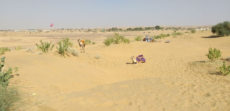 Photo of Only 4 days to explore Jaiselmer. Feel royal in the royal state- Rajasthan. by Mithrem Jagirdar
