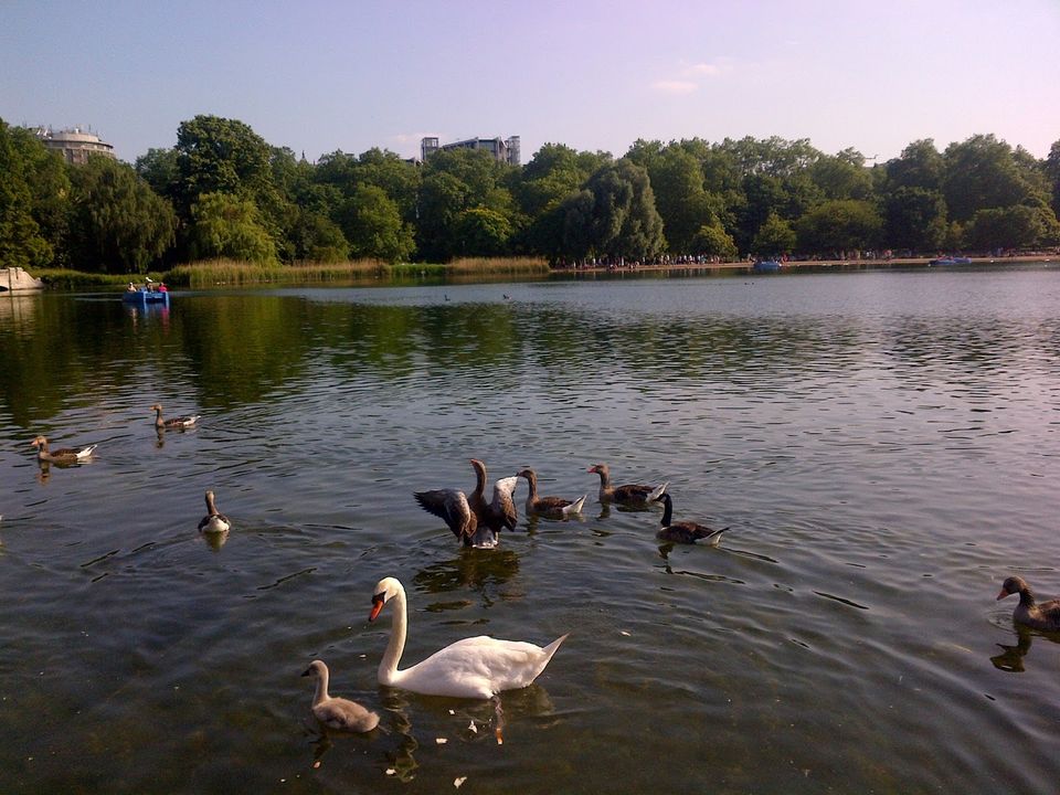 Photo of Picnicking in UK 5/9 by Happie Wanderer