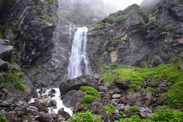 Photo of Valley Of Flowers 1/8 by swati kurra