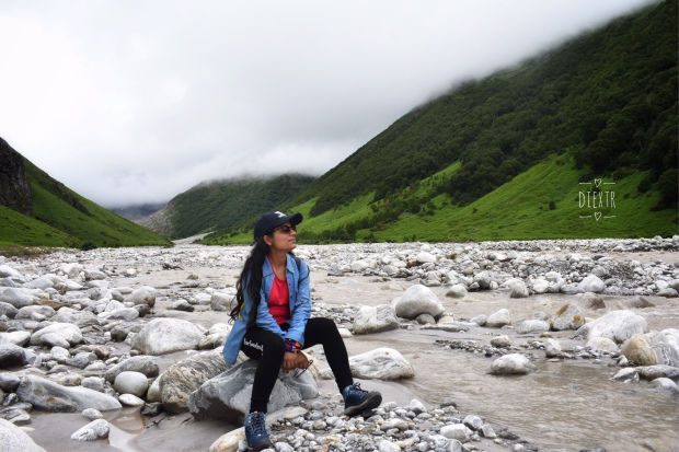 Photo of Valley Of Flowers 7/8 by swati kurra